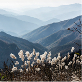 지리산 국립공원 사진