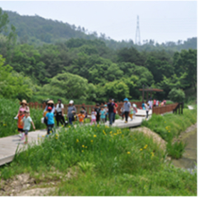 고창 운곡습지 생태관광 사진